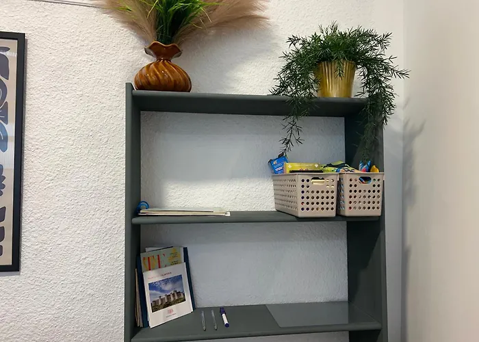 Casa Cedro Historia Y Confort Parking Gratuito アパート *